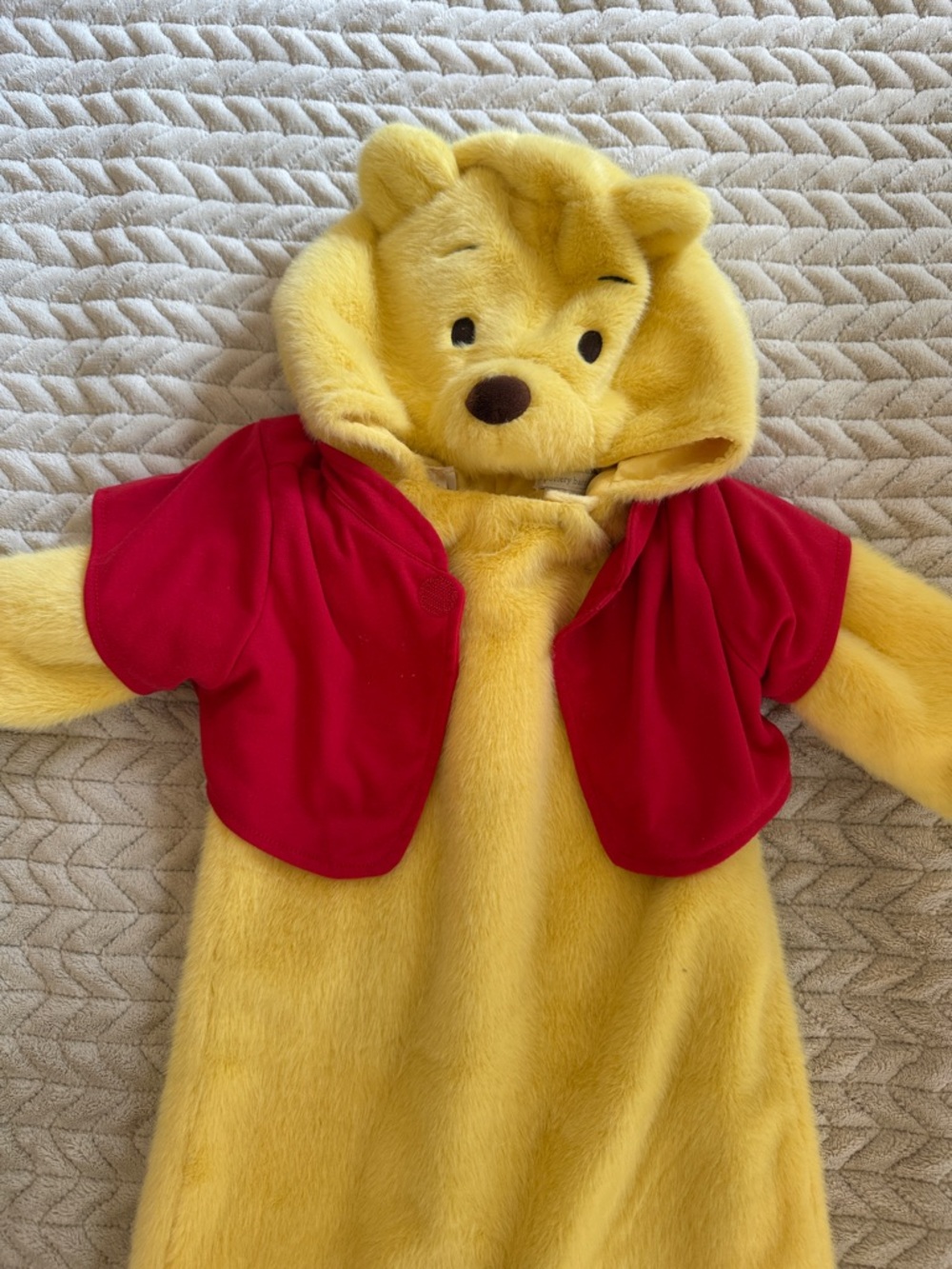 Pottery Barn Disney Classic Pooh Hooded Plush costume 12-24 months like new